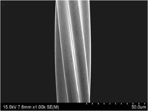 Stranded Conductor (7-straded 0.010mm conductors)