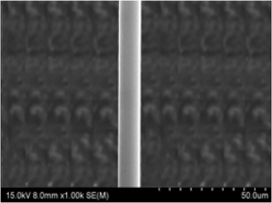 Single conductor (Diameter 0.010mm)