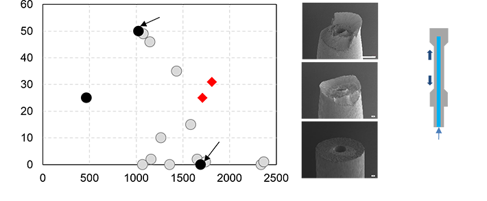 Resistance to hydrogen embrittlement